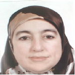 http://www.elections.ma/elections/conseillers/photos_candidat/55350.JPG